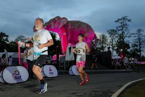 BIB: 
                            <button type="button" onclick="openModal(26529641)" class="btn btn-primary btn-sm float-right btn-popup" data-toggle="modal" data-target=".modal-high-quality">
                        <i class="fas fa-shopping-cart"></i> Add to Cart
                    </button>
                                            <button type="button" onclick="isThisMe(26529641, true)" class="btn btn-success btn-sm float-right btn-popup btn-isme hidden" data-toggle="tooltip" data-placement="bottom" title="นี่คือรูปของคุณใช่ไหม คลิกที่นี่เพื่อเอาเข้าอัลบั้ม">
                        <i class="fas fa-plus"></i> Add to album
                    </button>
                    <button type="button" onclick="isThisMe(26529641, false)" class="btn btn-warning btn-sm float-right btn-popup btn-isnotme hidden">
                        <i class="fas fa-ban"></i> Remove from album
                    </button>